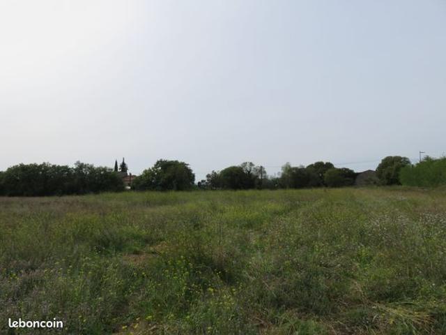 Villa 4 pièces 80 m²
