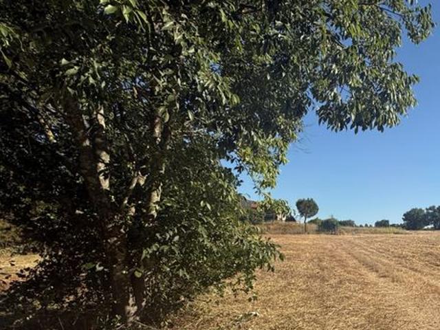 Villa 4 pièces 95 m²