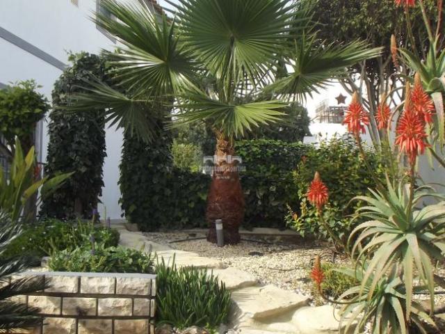 villa 4 quarto, Tavira Algarve DLS97310699