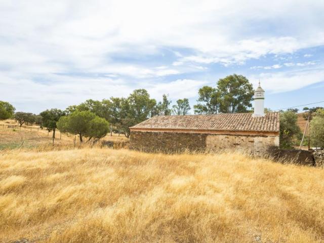 villa 4 quarto, Almodôvar Beja DS93829759