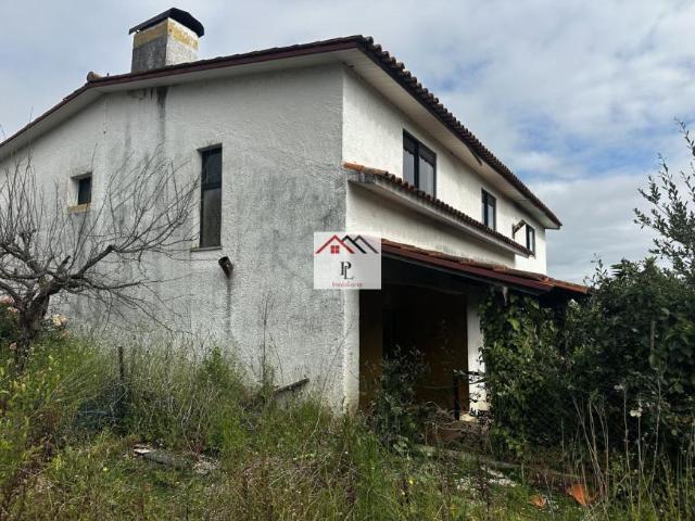 villa 4 quarto, Aveiro Anadia 3780 DS102434288