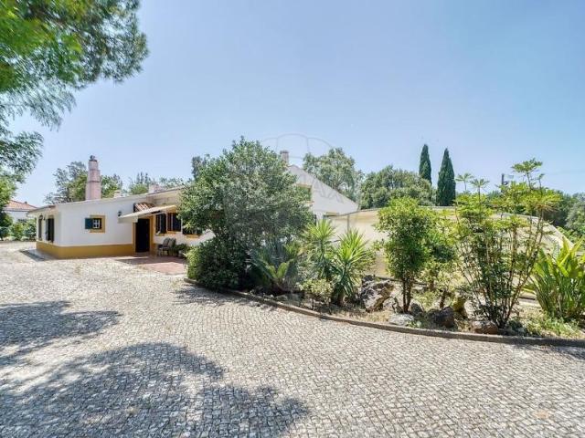 villa 4 quarto, Benavente Santarém DS102884433