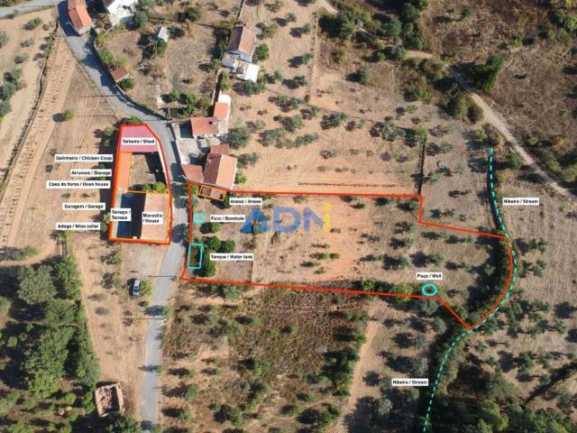 villa 4 quarto, Castelo Branco Castelo Branco DLS95389383