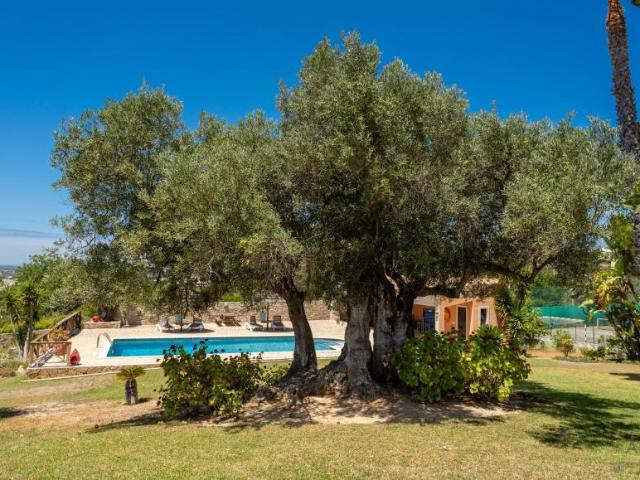 villa 4 quarto, Faro Algarve DLS92395444