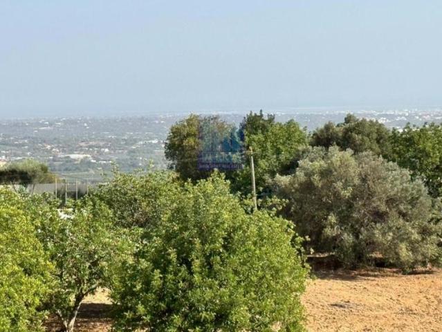 villa 4 quarto, Faro Algarve DLS95347855