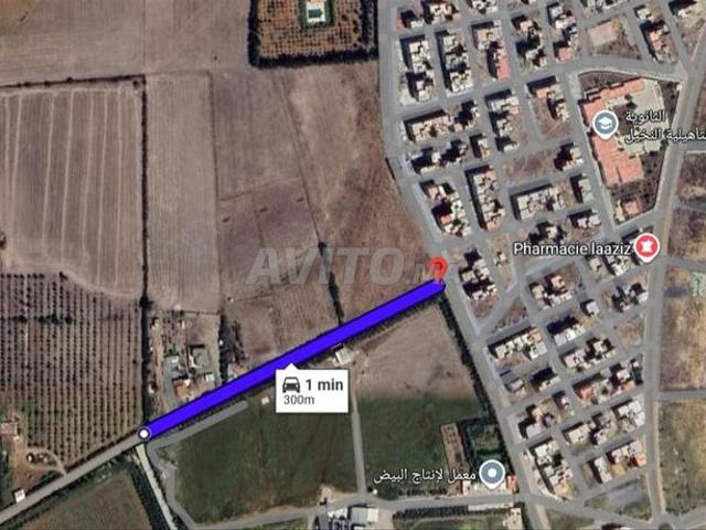 Villa 5 hectares 10 min d'El Menzeh 220 Dhs /m2