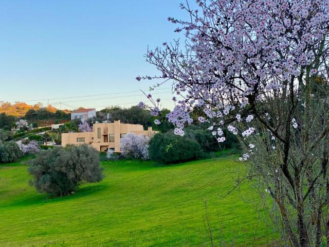 villa 5 quarto, Lagos Algarve DLS100213658