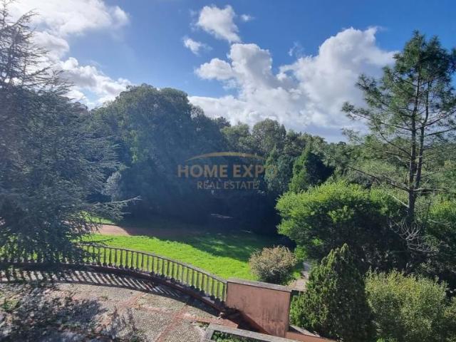 villa 5 quarto, Sintra Lisboa DS97254934