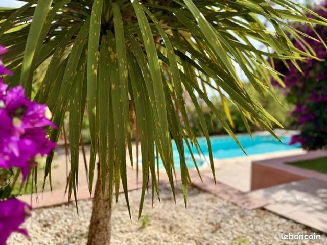 Villa 6 pièces 145 m²