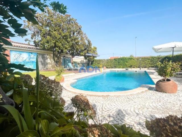 villa 7 quarto, Castelo Branco Castelo Branco DLS68671718