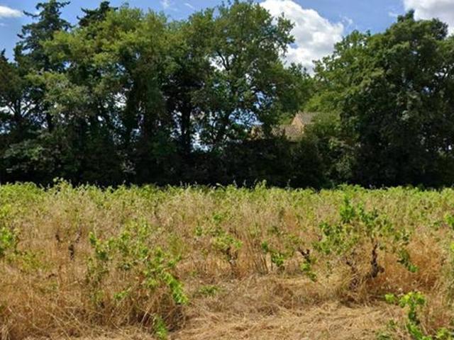 Villa 90m² sur terrain de 591 m² a Sainte Cécile les vignes