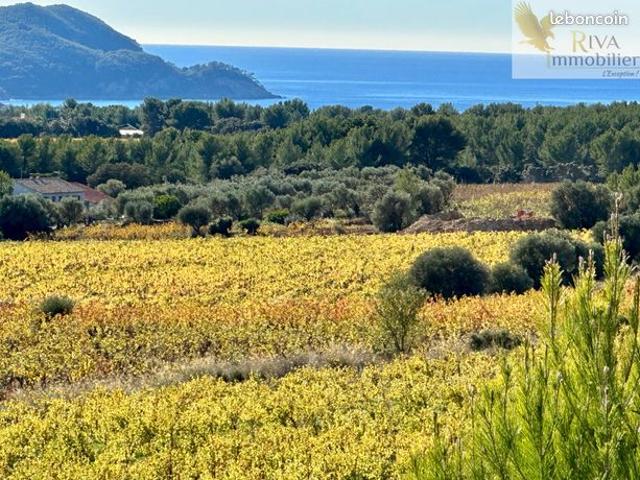 Villa 13 pièces 350 m²