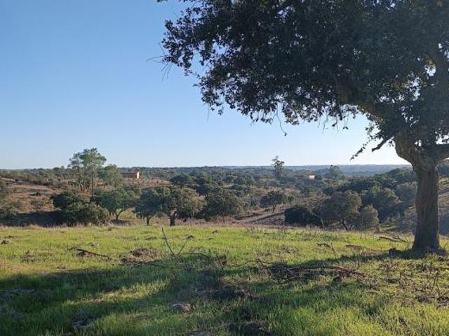 villa 1 quarto, Beja Beja 7800 DLS98330145
