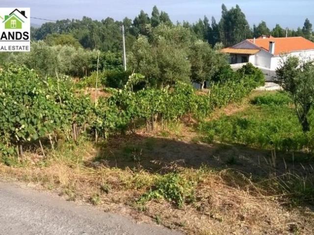 villa 1 quarto, Coimbra Arganil 3300 DLS98217320