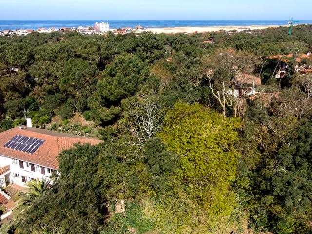Villa 200 m² Entre Lac & Ocean 205m² Soorts Hossegor