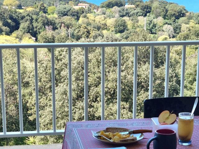 Villa 270 m2 sur 2 927 m2 de terrain à Calcatoggio