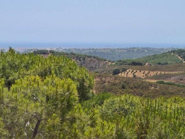 villa 2 quarto, Tavira Tavira DS91086085