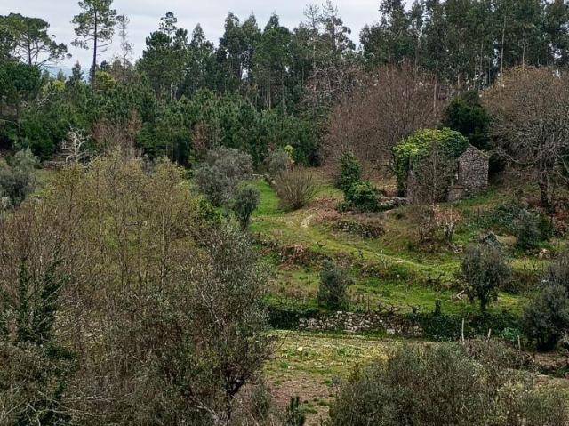 villa 2 quarto, Viseu Mangualde 3530 DLS101986226
