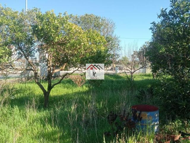 villa 2 quarto, Coimbra Cantanhede 3060 DS100974793