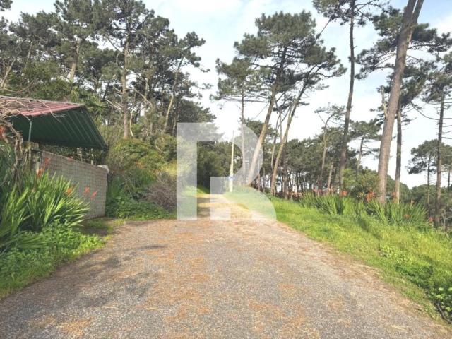 villa 2 quarto, Lisboa Sintra 2705 DS99559235