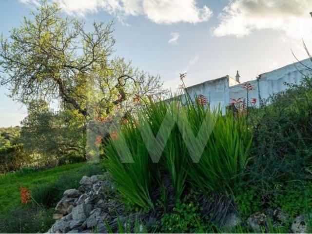 villa 3 quarto, Tavira Algarve DLS79503153