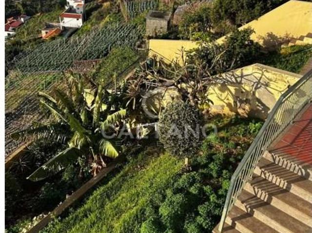 villa 3 quarto, Câmara de Lobos Câmara de Lobos DS96255666
