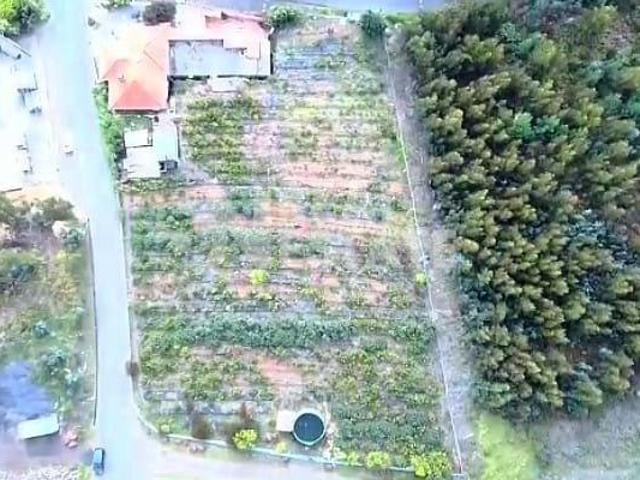 villa 3 quarto, Calheta Ilha da Madeira DLS95418721