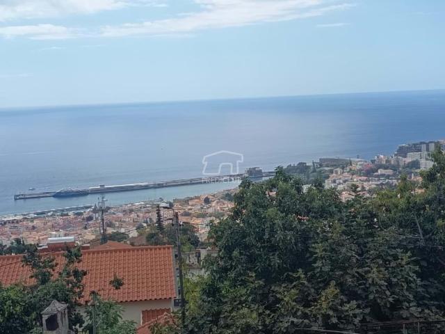 villa 3 quarto, Funchal Ilha da Madeira DS95787839