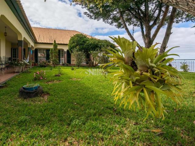 villa 3 quarto, Ribeira Brava Ilha da Madeira DLS94499693