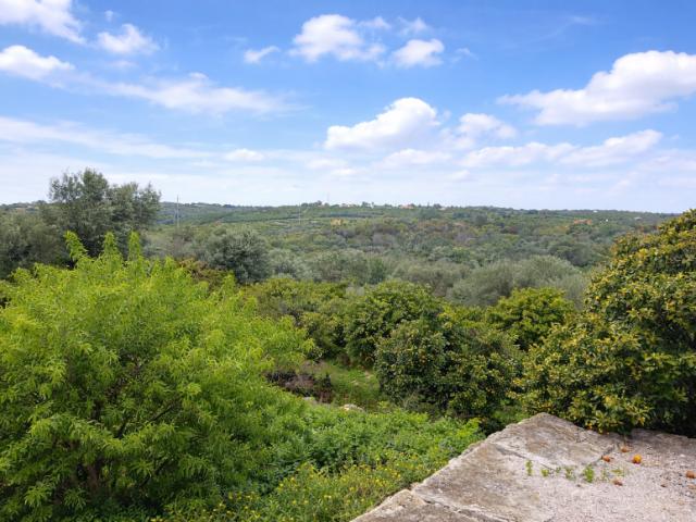 villa 3 quarto, Silves Algarve DS101012656