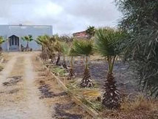 Villa terrain