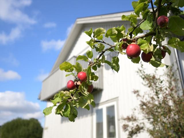 Villa till salu i Umeå Hemmansvägen 7 | Länsförsäkringar Fastighetsförmedling