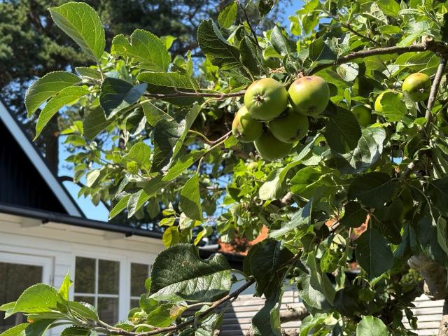 Villa till salu i Häljarp Häggvägen 5 | Länsförsäkringar Fastighetsförmedling