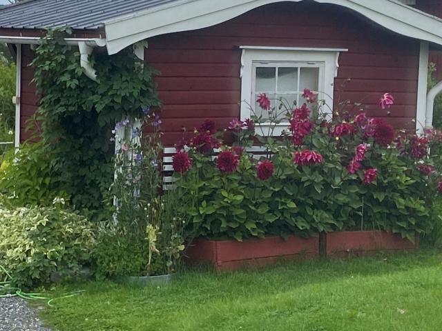 Villa till salu i Kåge Bjässviken 63 | Länsförsäkringar Fastighetsförmedling