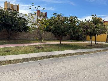 Villa Universidad casa en renta frente a area verde