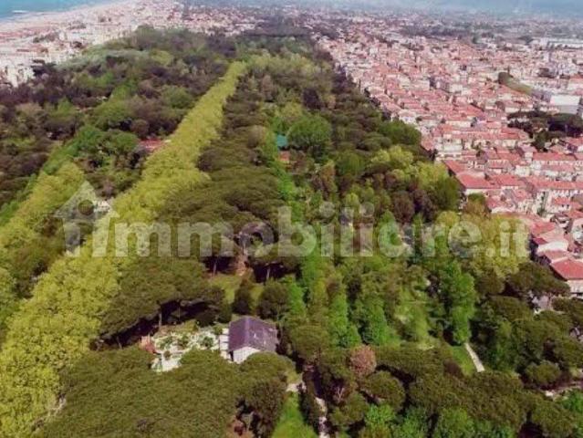Villa unifamiliare, buono stato, 180 m², Darsena Ex Campo di Aviazione, Viareggio
