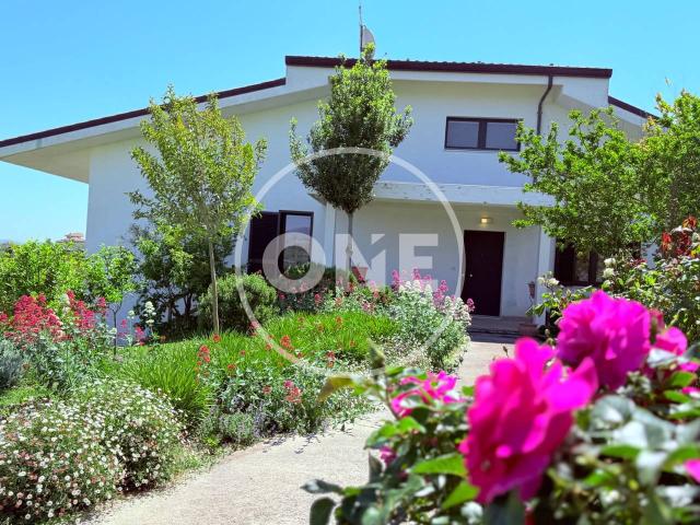 Villa unifamiliare in vendita a Alanno