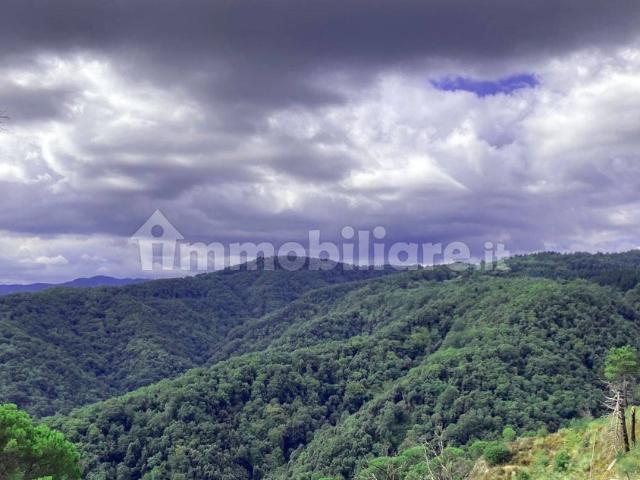 Villa unifamiliare Strada Provinciale Rossano Sila, Corigliano Rossano