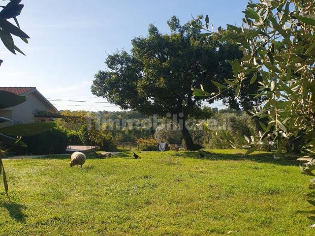 Villa unifamiliare Strada Provinciale Voltina, Scansano