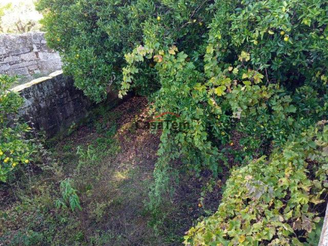 villa Viseu Nelas 3520 DS97226114