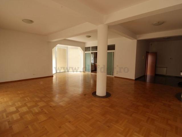 Villa with Swimming Pool on Iancu Nicolae area