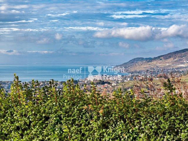 Villa with 12 rooms on sale in Chernex / Montreux 473 m² | dreamo. Ch