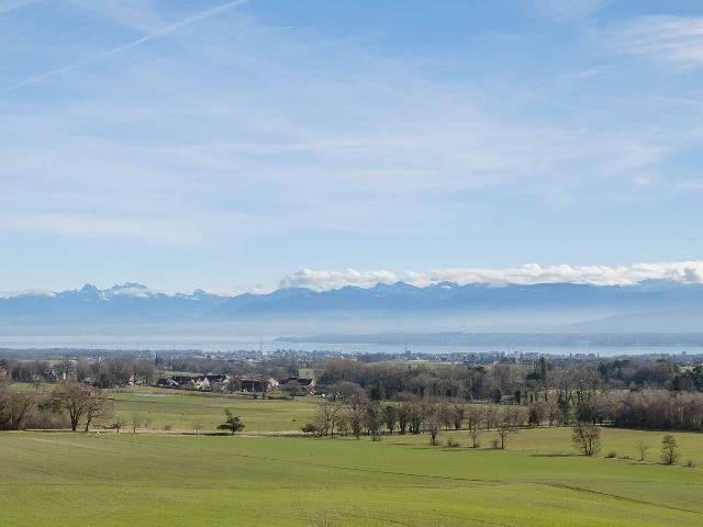 Single family house with 6.5 rooms on sale in Chéserex 279 m² | dreamo. Ch