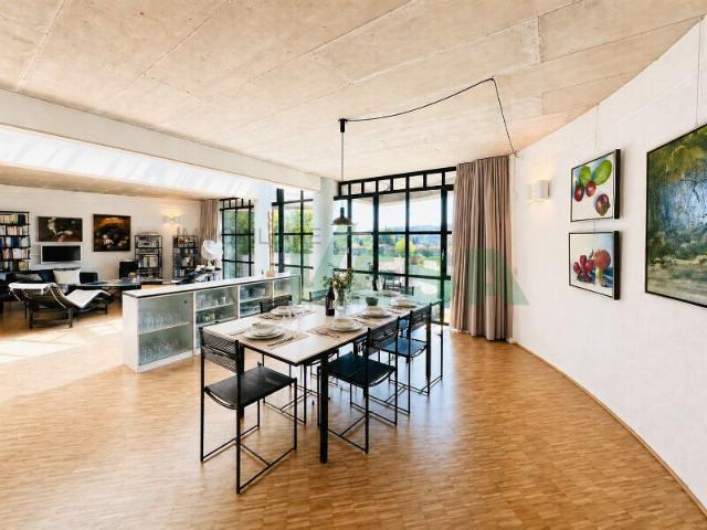 Villa with 6.5 rooms on sale in Stabio 375 m² | dreamo. Ch