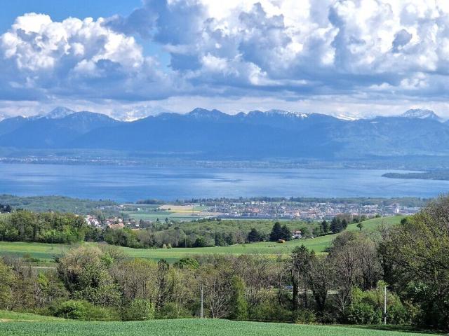 Villa with 6 rooms on sale in Arzier le Muids 200 m² | dreamo. Ch
