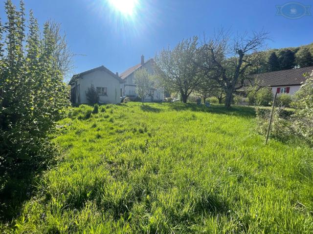 Villa with 8 rooms on sale in Vendlincourt 170 m² | dreamo. Ch