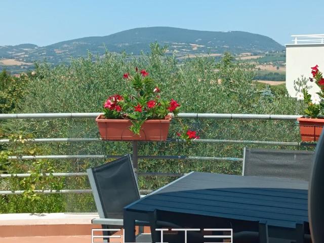 Villa Mare