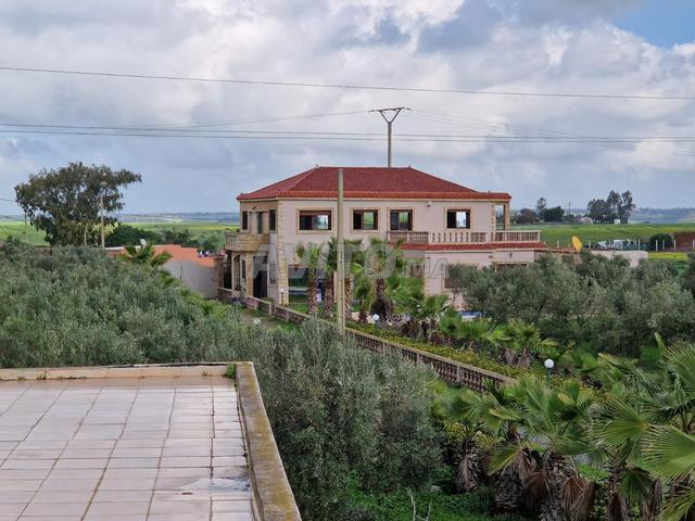 Villa à Ben Slimane superficie 1 hectare