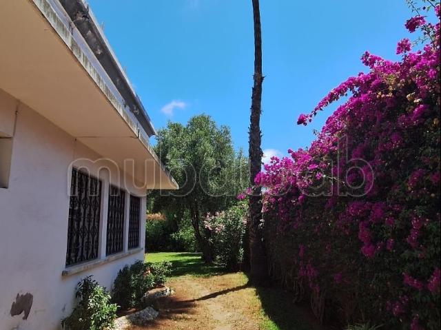 Villa à raser 988 m² Chantilly proche Khattabi