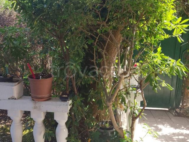Villa a Schiera in affitto a Ladispoli via del Capricorno, arredato, giardino privato, angolo cottura TrovaCasa